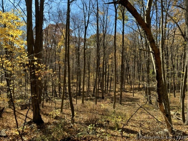 0 Upper Kent Hollow Road South Kent, CT 06785 - Photo 3 of 5 a view of outdoor space