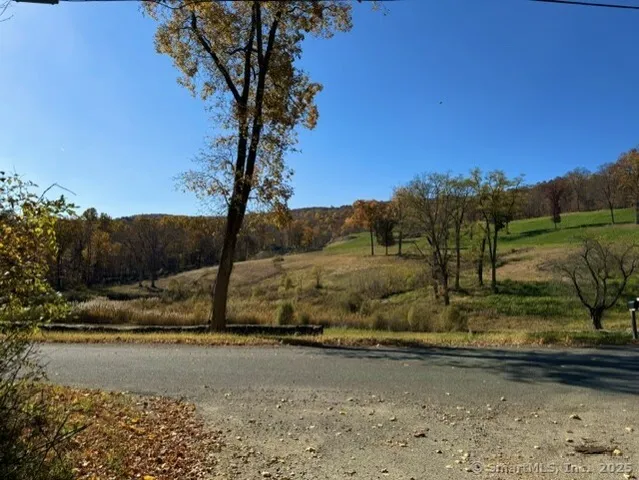 a view of a yard with mountain view