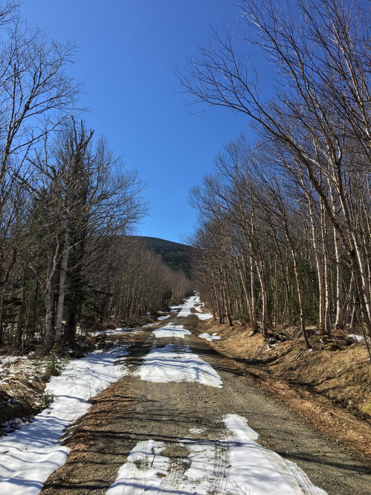 Lot 8 East Lot Road West Forks, ME 04985 - Photo 6 of 12 2256E869-B991-474A-B379-118308205289