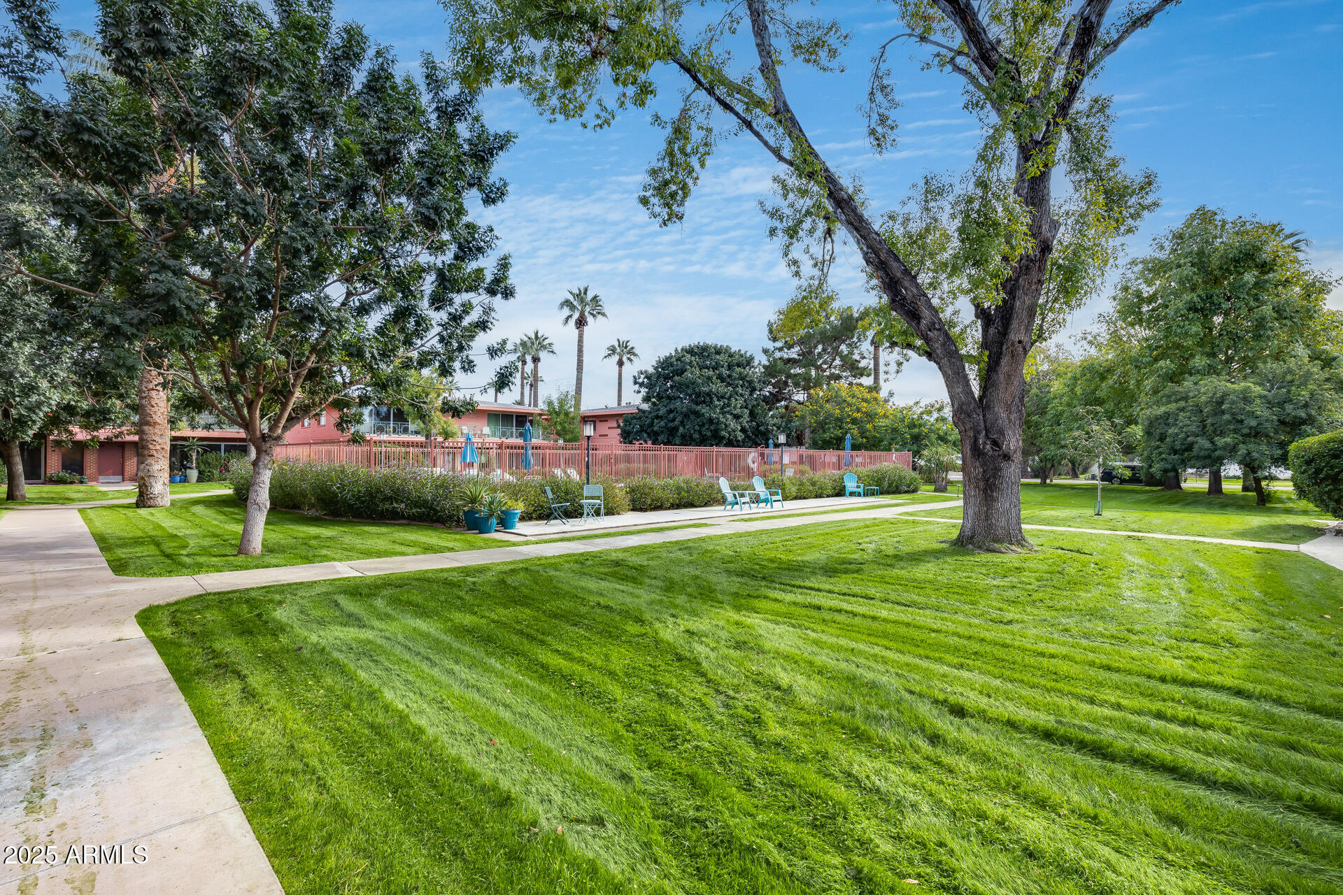 146 East Coronado Road, Unit 40 Phoenix, AZ 85004 - Photo 4 of 39 a view of a volley ball court