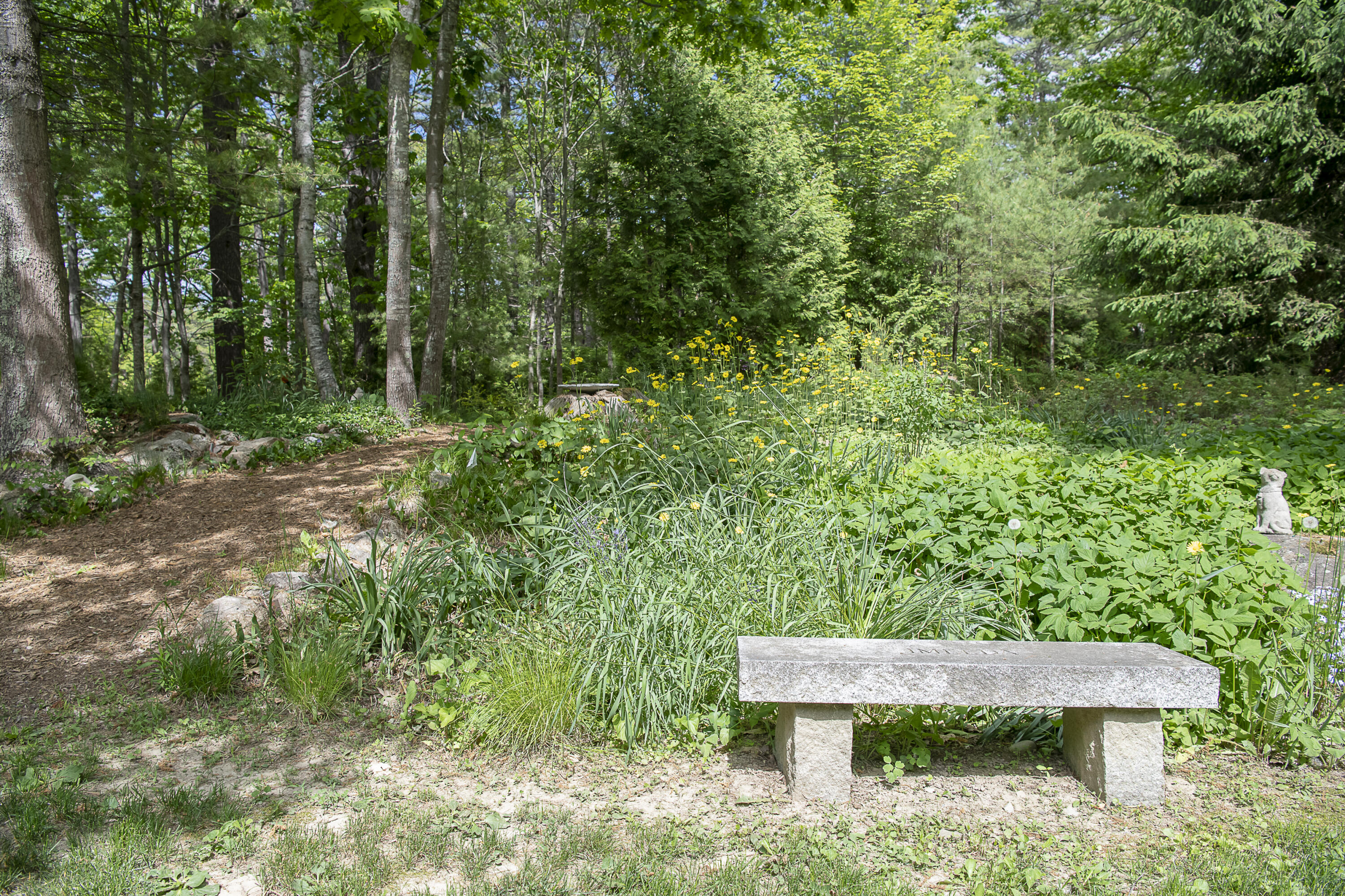 41 Field Road Arrowsic, ME 04530 - Photo 30 of 38 GLM_7159