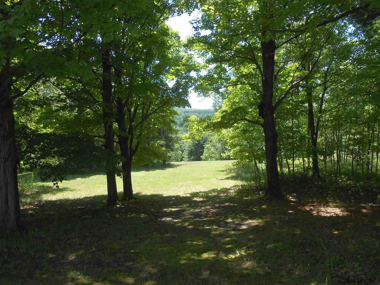 342 Posson Hill Road Middleburgh, NY 12122 - Photo 21 of 23 Photo 21