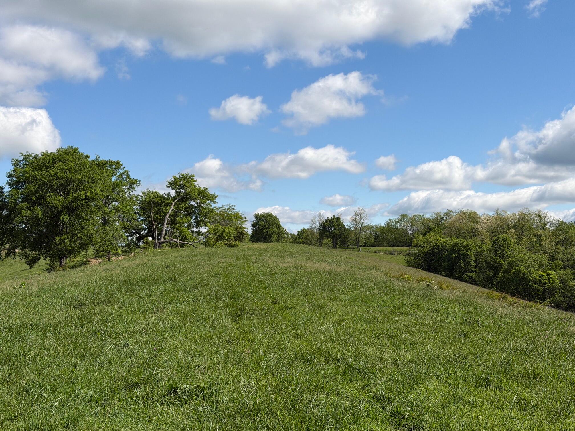 24.81-ac Chipman Ridge Road Williamstown, KY 41097 - Photo 13 of 17