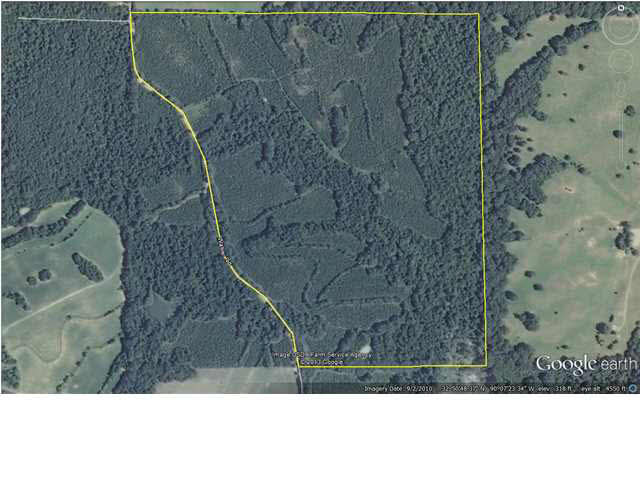 1 Walker Road Vaughan, MS 39179 - Photo 1 of 7 Aerial Photo
