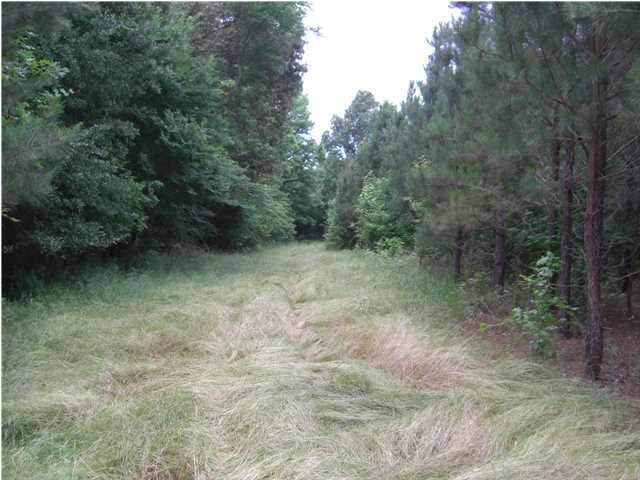 1 Walker Road Vaughan, MS 39179 - Photo 2 of 7 South Food Plot