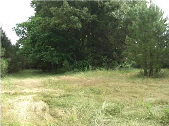 1 Walker Road Vaughan, MS 39179 - Photo 7 of 7 North Food Plot