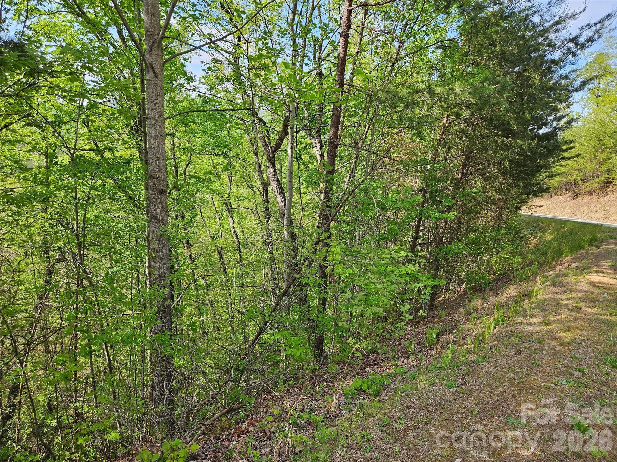 0 High Pines Loop, Unit 101 Lake Lure, NC 28746 - Photo 2 of 8
