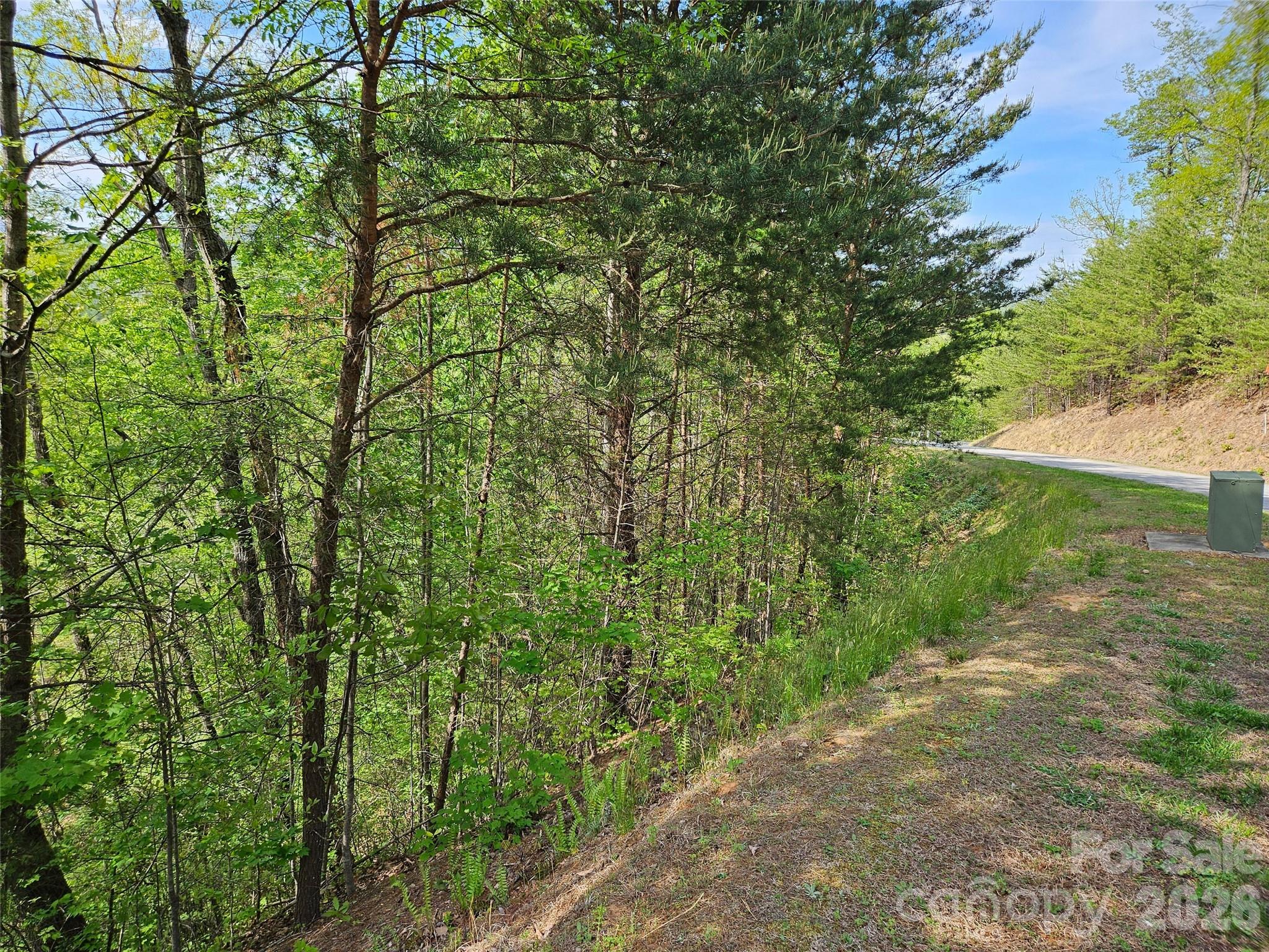 0 High Pines Loop, Unit 101 Lake Lure, NC 28746 - Photo 3 of 8