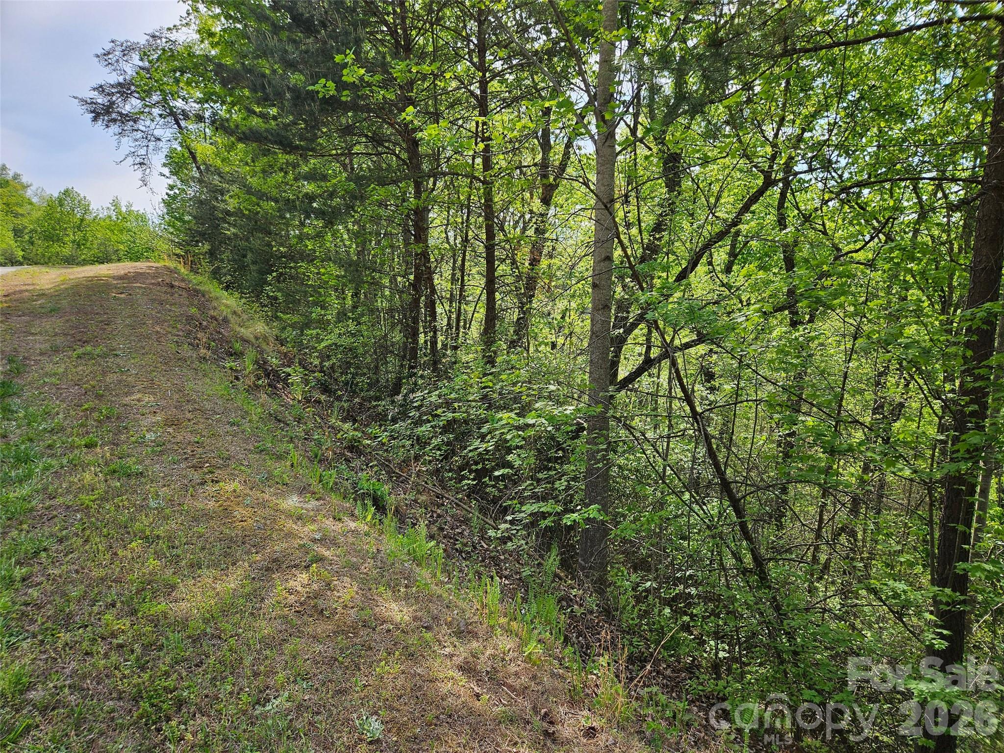 0 High Pines Loop, Unit 101 Lake Lure, NC 28746 - Photo 4 of 8