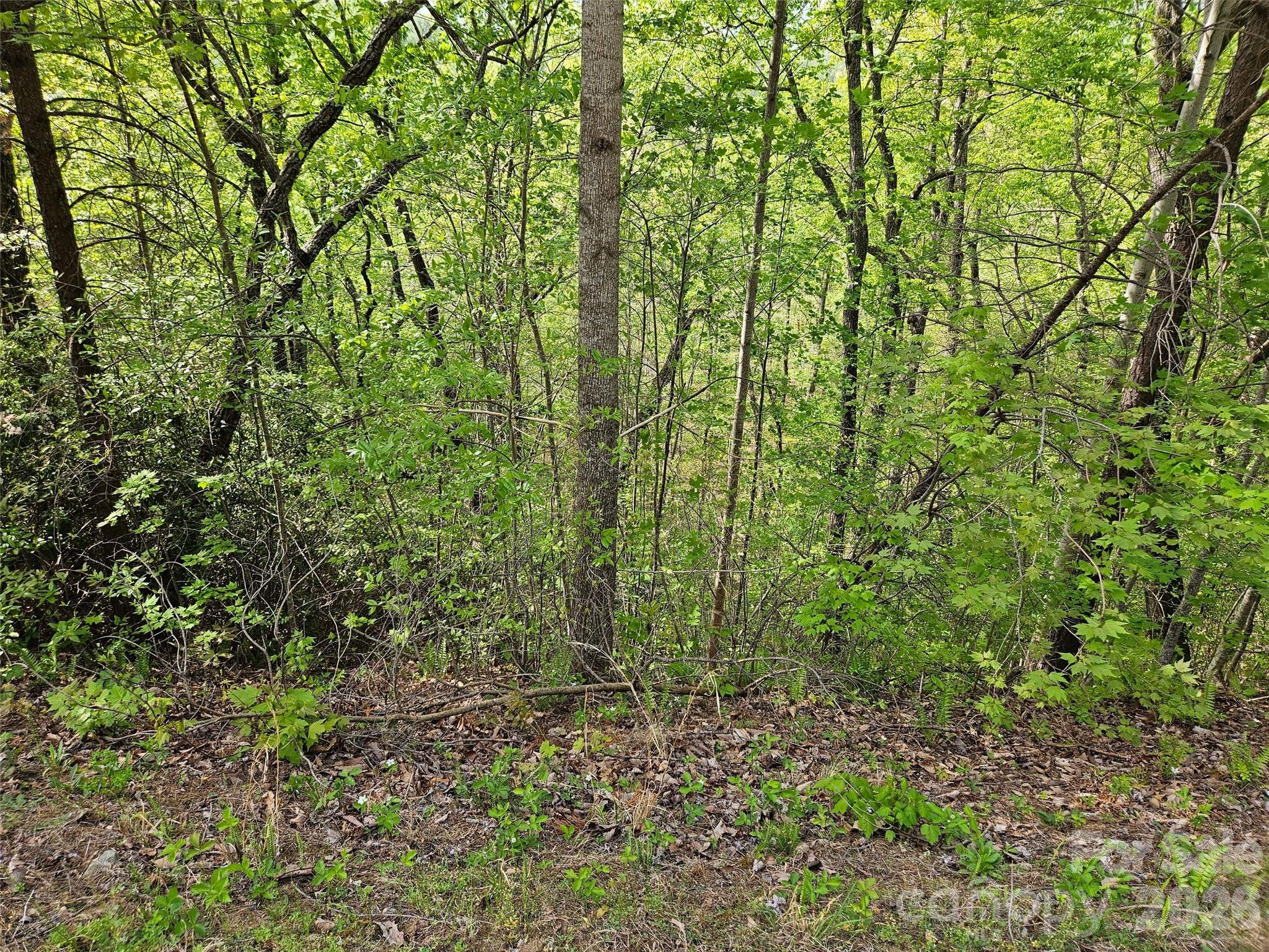 0 High Pines Loop, Unit 101 Lake Lure, NC 28746 - Photo 5 of 8