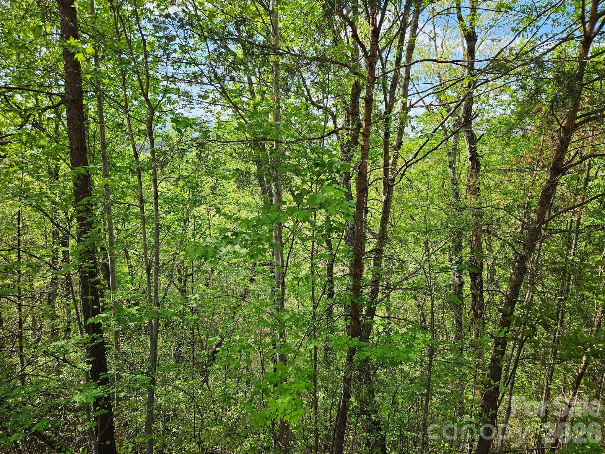 0 High Pines Loop, Unit 101 Lake Lure, NC 28746 - Photo 7 of 8