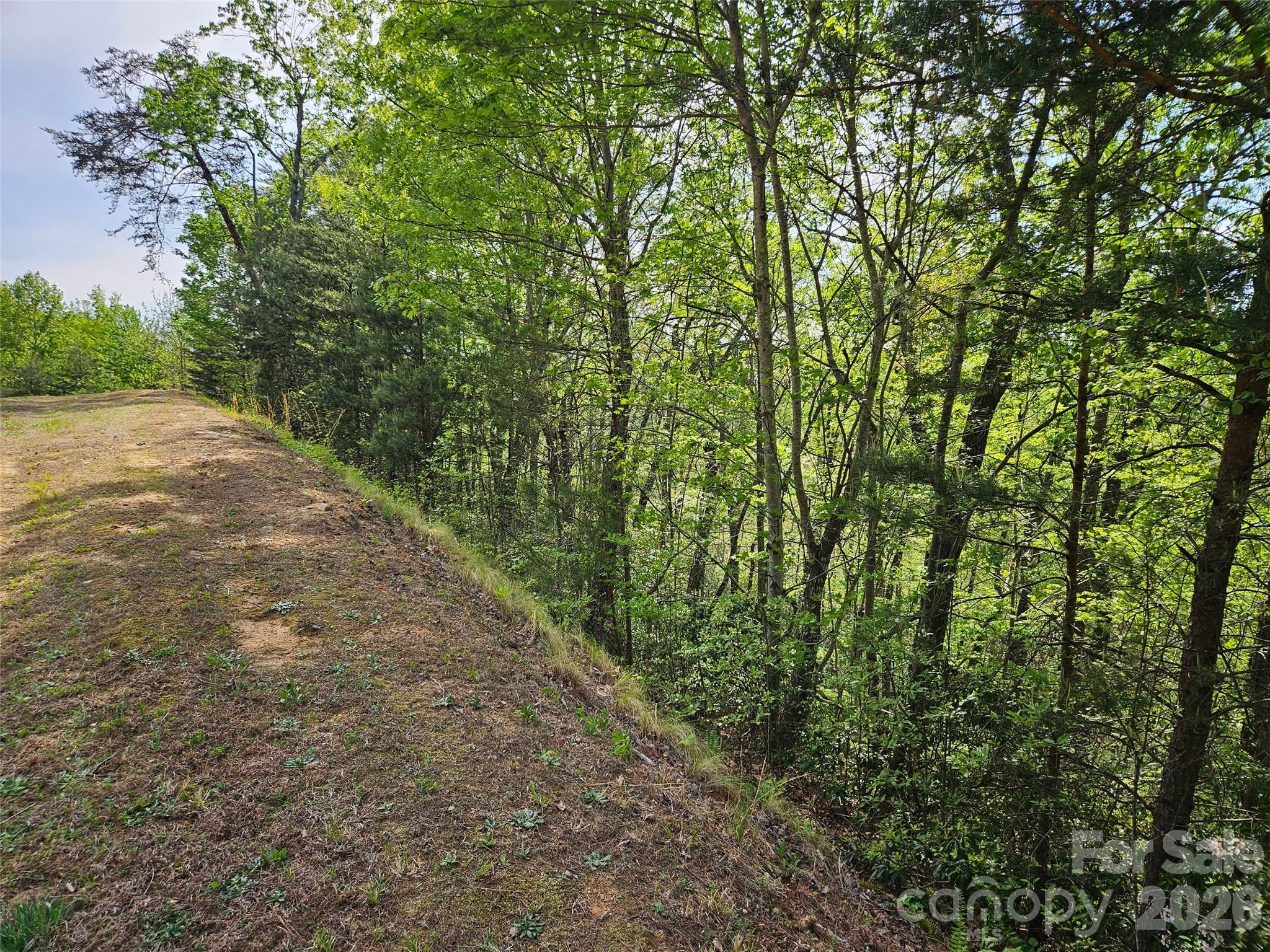 0 High Pines Loop, Unit 101 Lake Lure, NC 28746 - Photo 8 of 8