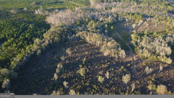a view of a lake with lots of bushes