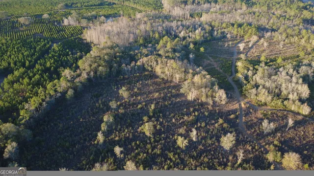 a view of a lake with lots of bushes