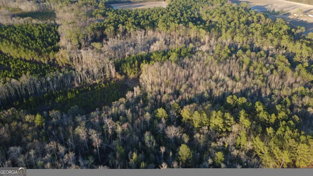 a view of a bunch of trees