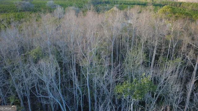 a view of a lake with tall trees