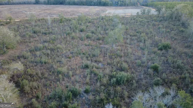 a view of a dry yard