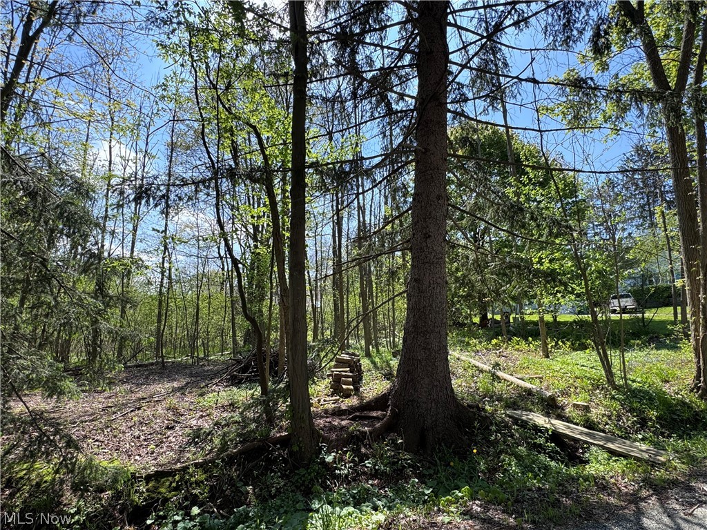 11664 Chestnutdale Road Chardon, OH 44024 - Photo 8 of 12