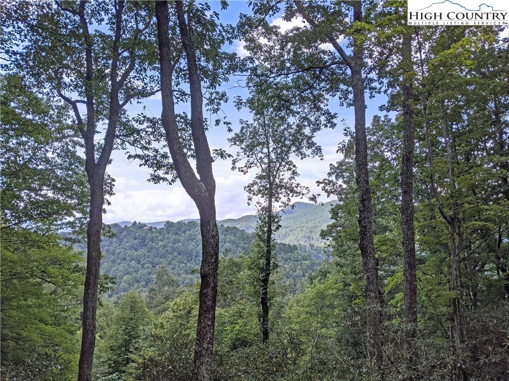 181 Bear Paw Road Deep Gap, NC 28618 - Photo 32 of 33 Gallery Image 32