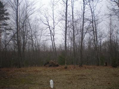 11533 North Custer Road Free Soil, MI 49411 - Photo 5 of 9 Additional Photo