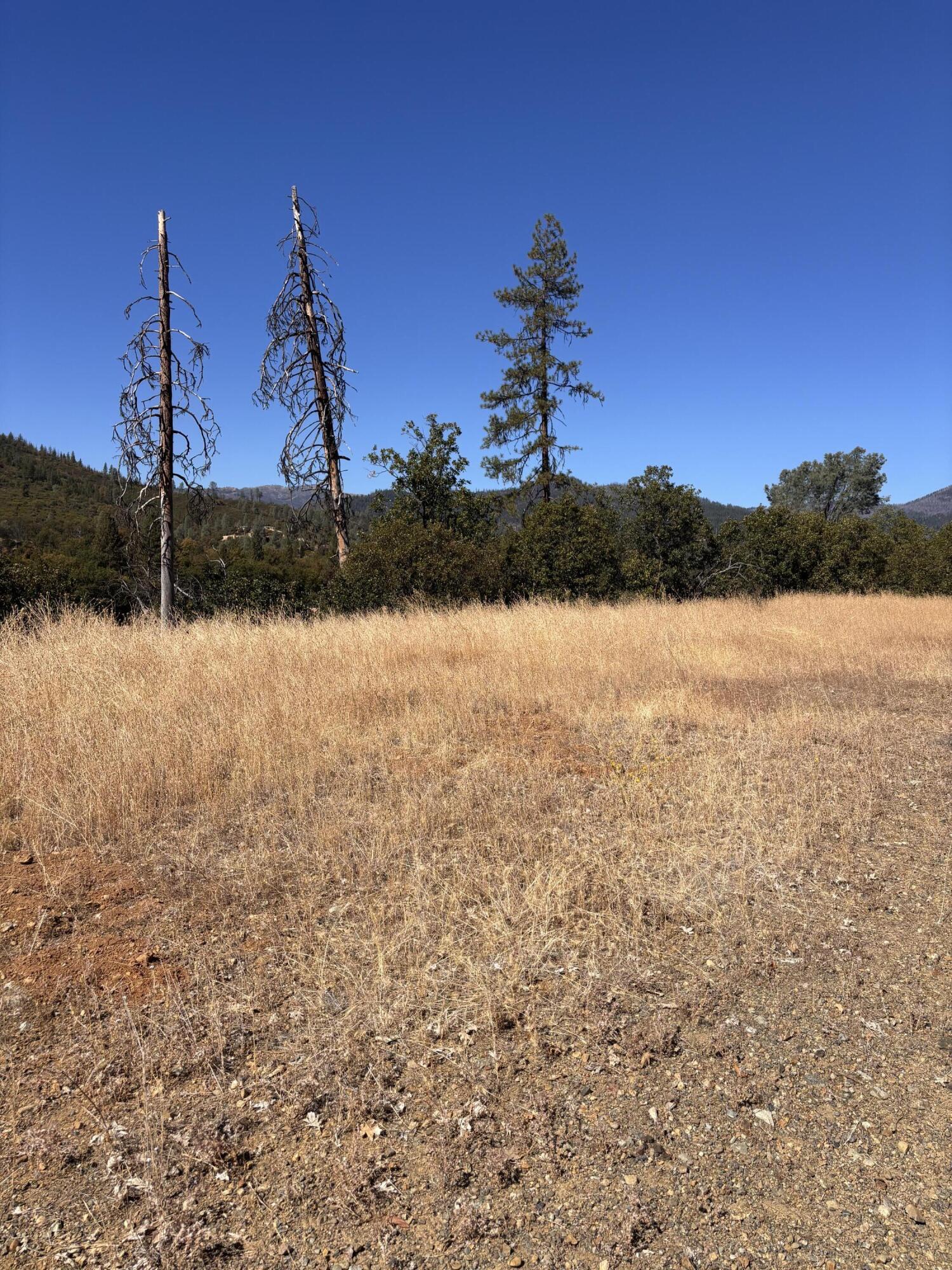 775 Barker Valley Road Hayfork, CA 96041 - Photo 25 of 41 Tier