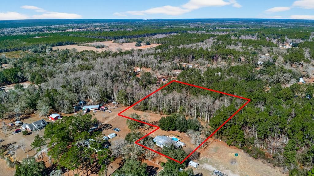 2744 Roy Sikes Road Hilliard, FL 32046 - Photo 94 of 97 an aerial view of residential houses with outdoor space and trees