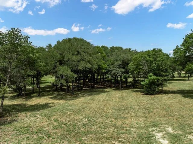 a view of a field with a tree in the background