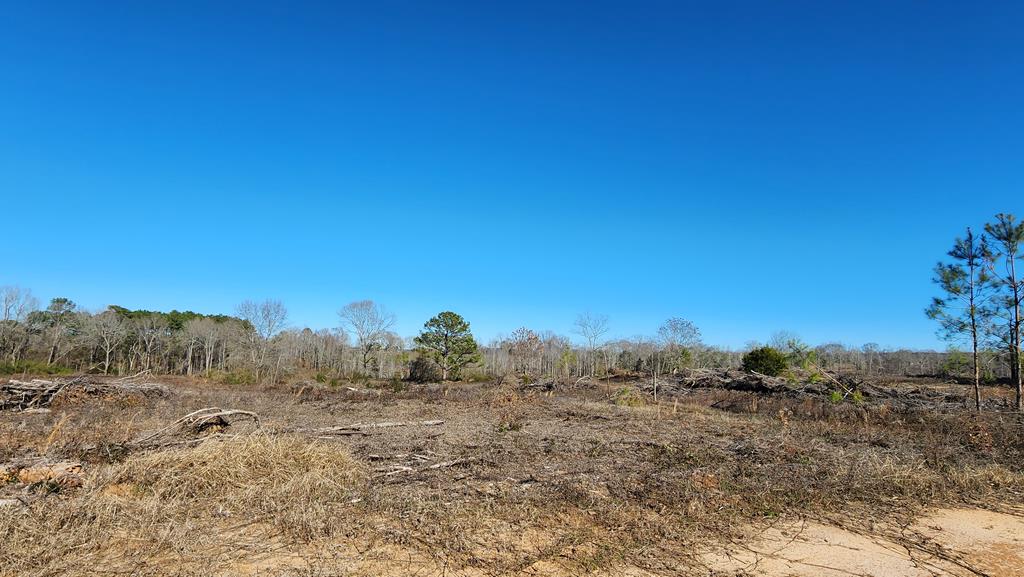 20-acres Hudson Road Columbia, AL 36319 - Photo 40 of 40
