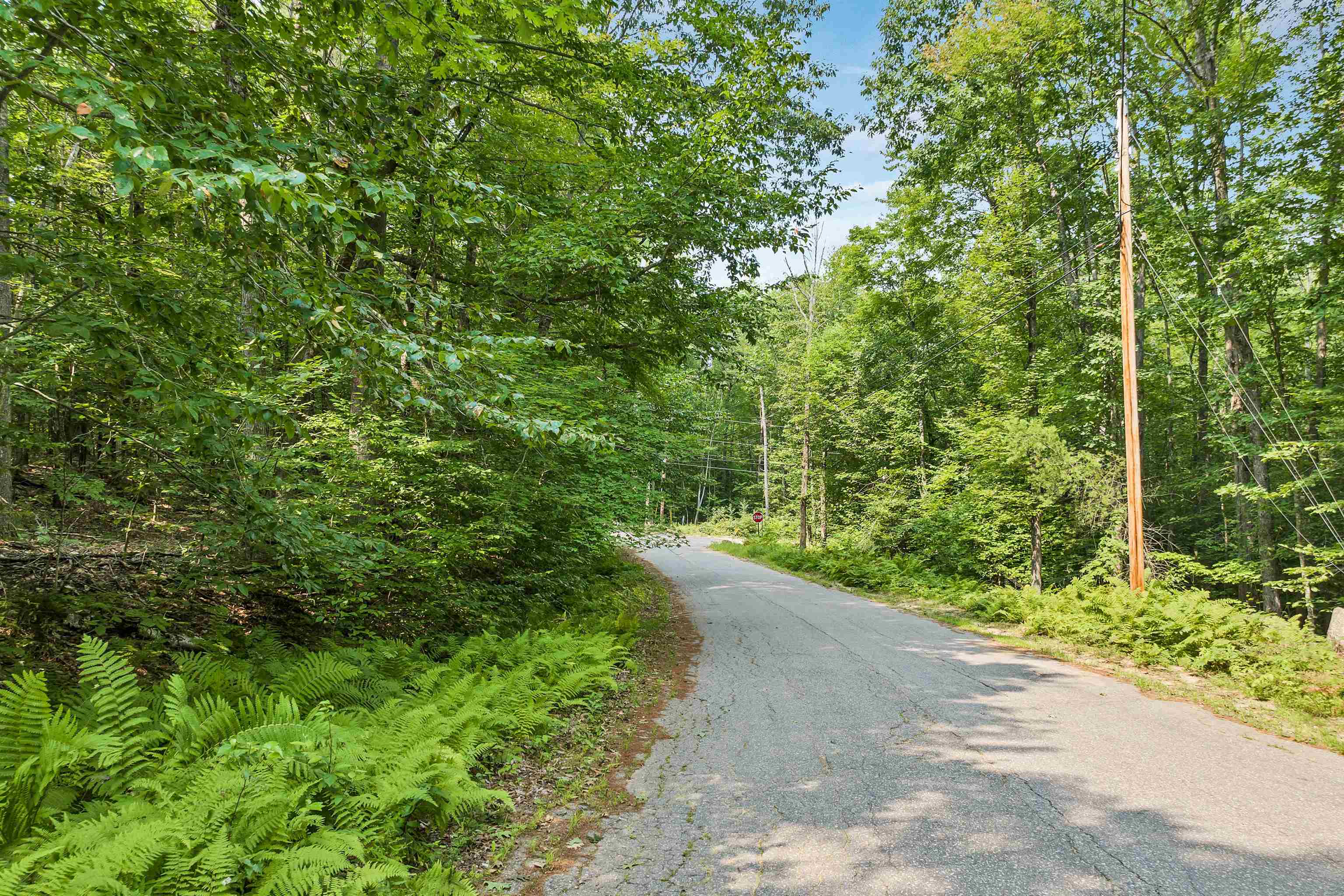 0 Straits Road New Hampton, NH 03256 - Photo 7 of 18