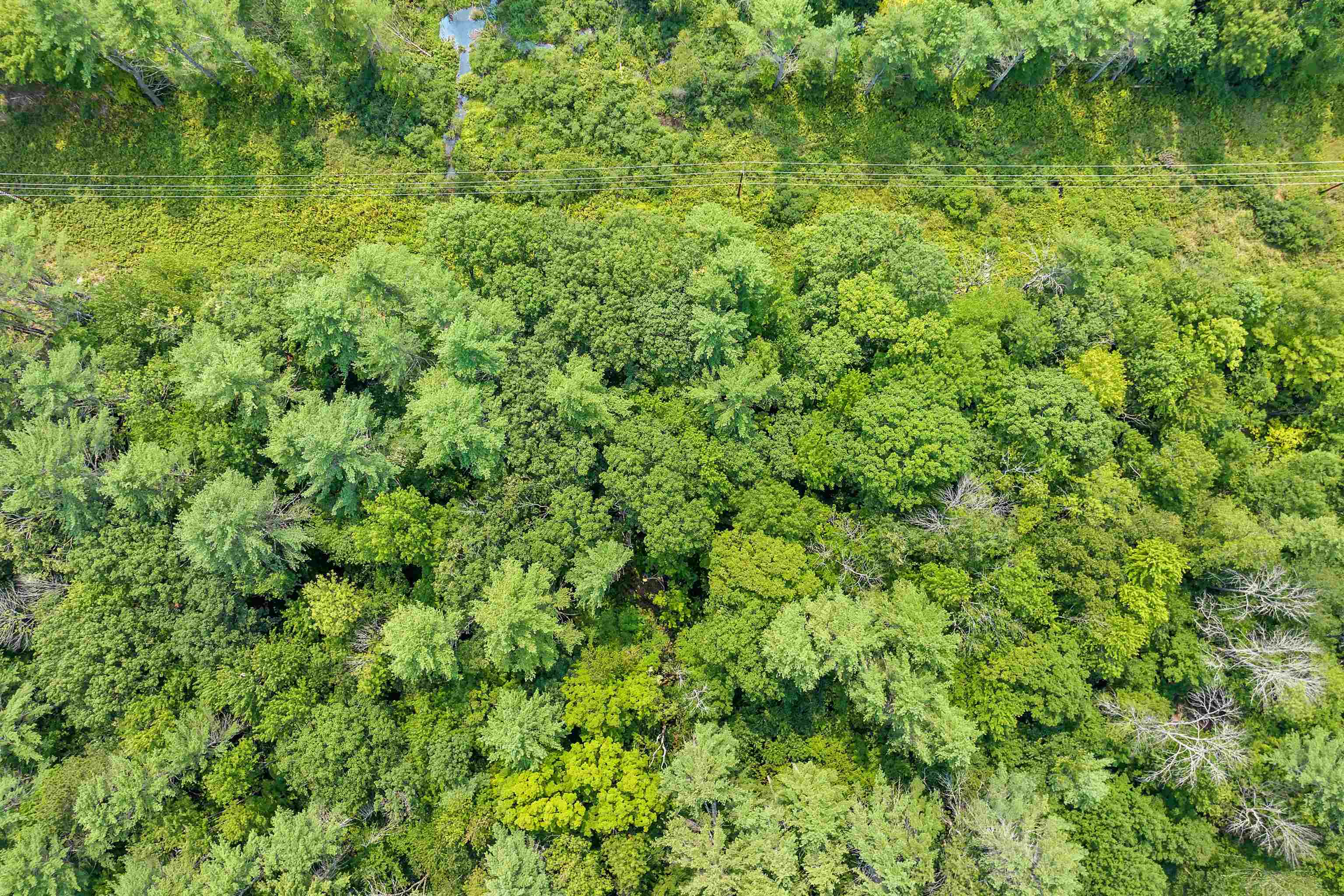 0 Straits Road New Hampton, NH 03256 - Photo 10 of 18