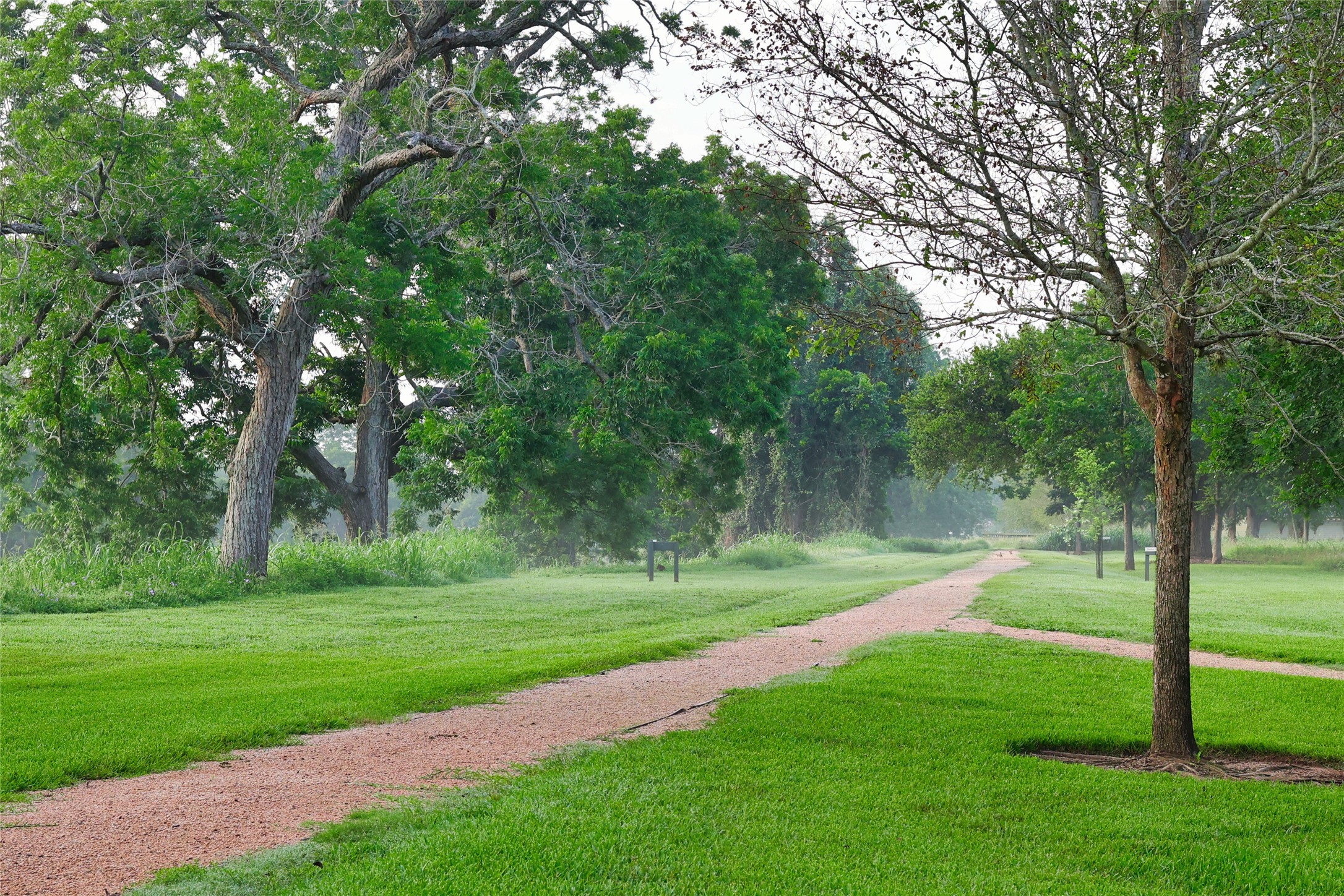 0 Riverlake Road Fulshear, TX 77441 - Photo 21 of 47 Tree-lined trails and open green spaces create a peaceful environment where residents can enjoy morning walks, evening strolls, and the simple pleasures of life surrounded by nature.