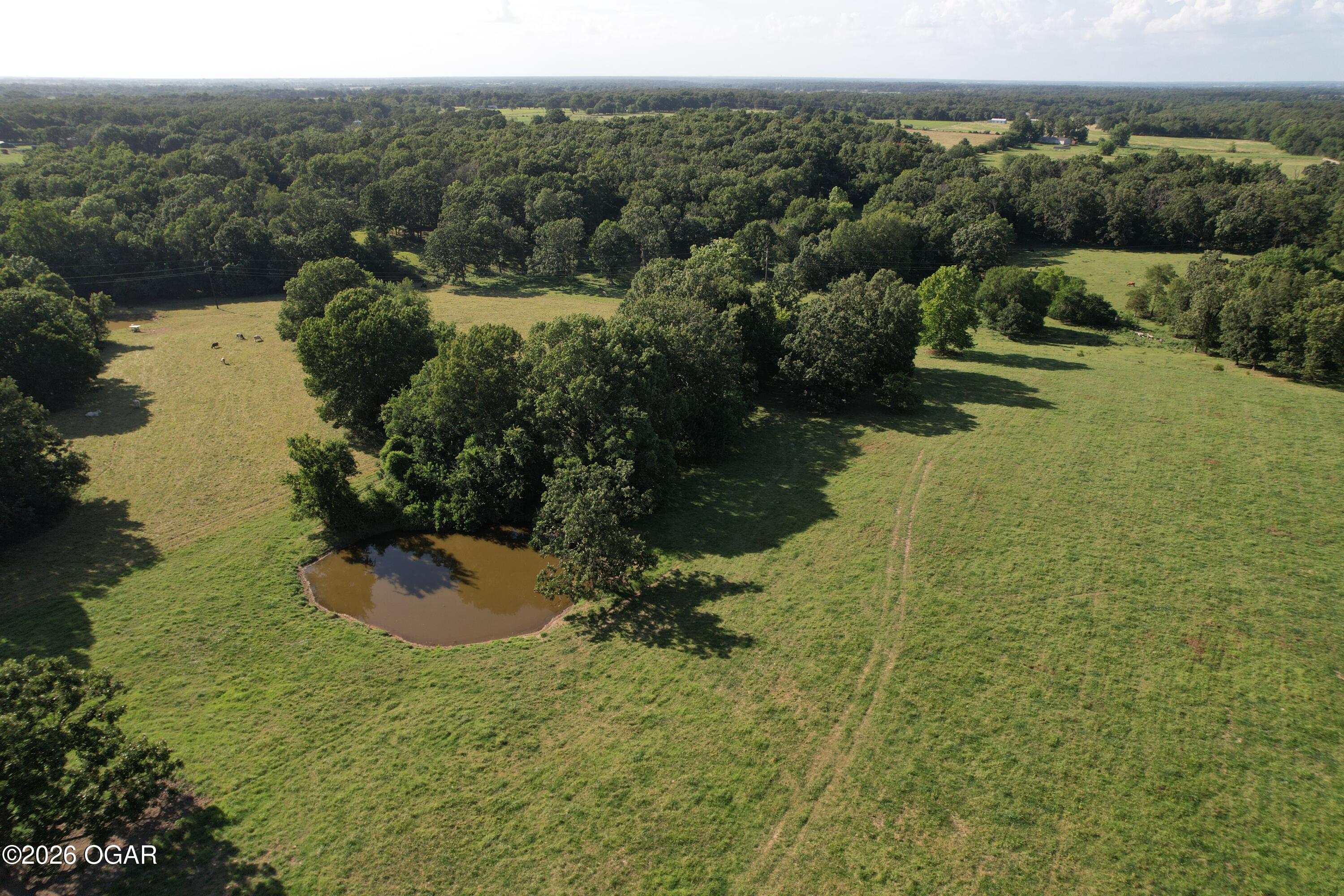 6731 Raccoon Road Pierce City, MO 65723 - Photo 24 of 103 Gallery Image 24