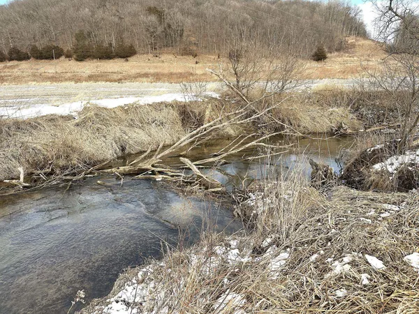 $699,500 | 104.4-acres Morgan, Soldiers Grove, WI 54655