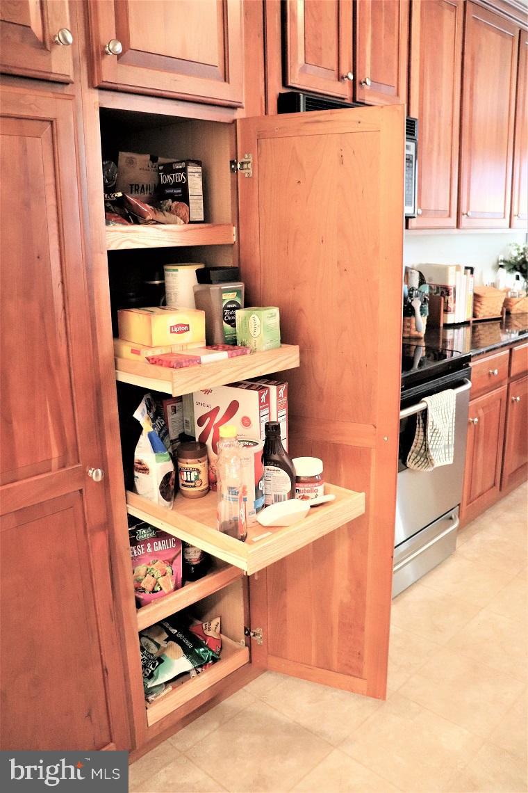 305 Stone Creek Road Lancaster, PA 17603 - Photo 15 of 33 Kitchen Details - Pantry w/Pull-Out Shelving
