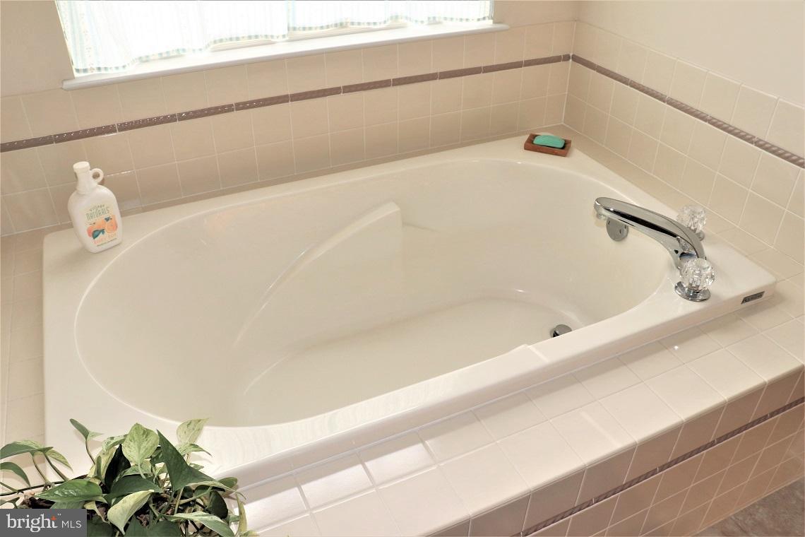 305 Stone Creek Road Lancaster, PA 17603 - Photo 21 of 33 Master Bathroom Details - Large Soaking Tub