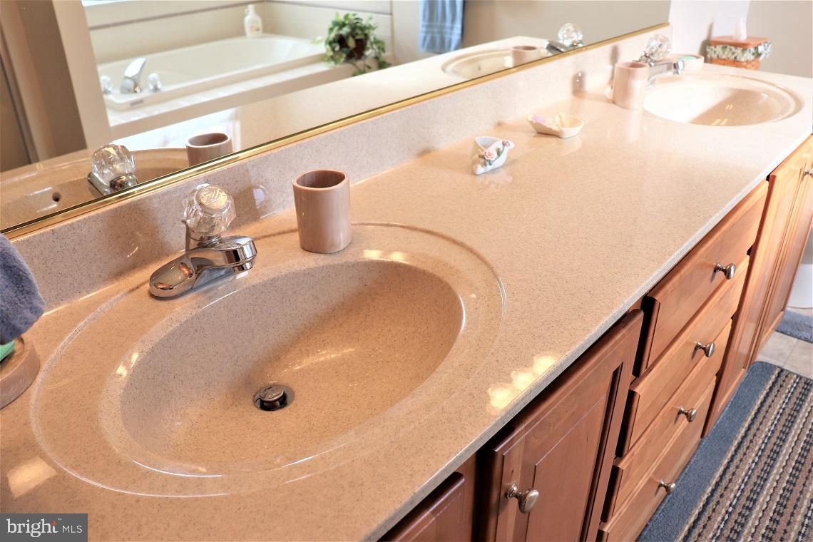 305 Stone Creek Road Lancaster, PA 17603 - Photo 22 of 33 Master Bathroom Details - Double-Bowl Vanity