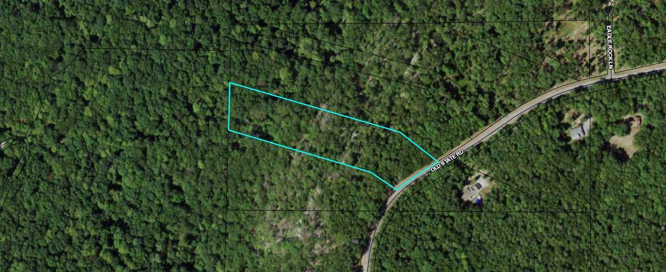 0 Old State Road, Unit 5 Cloudland, GA 30731 - Photo 1 of 1 Tax Map