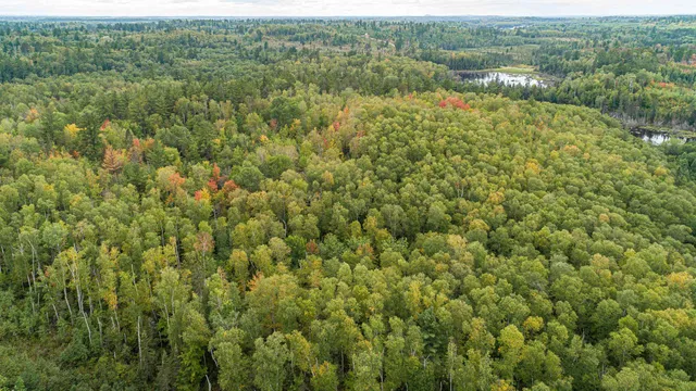 $51,000 | Tbd Moose Creek Trail, Ely, MN 55731