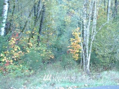 655 Cispus Road Randle, WA 98377 - Photo 1 of 1 Gallery Image 1