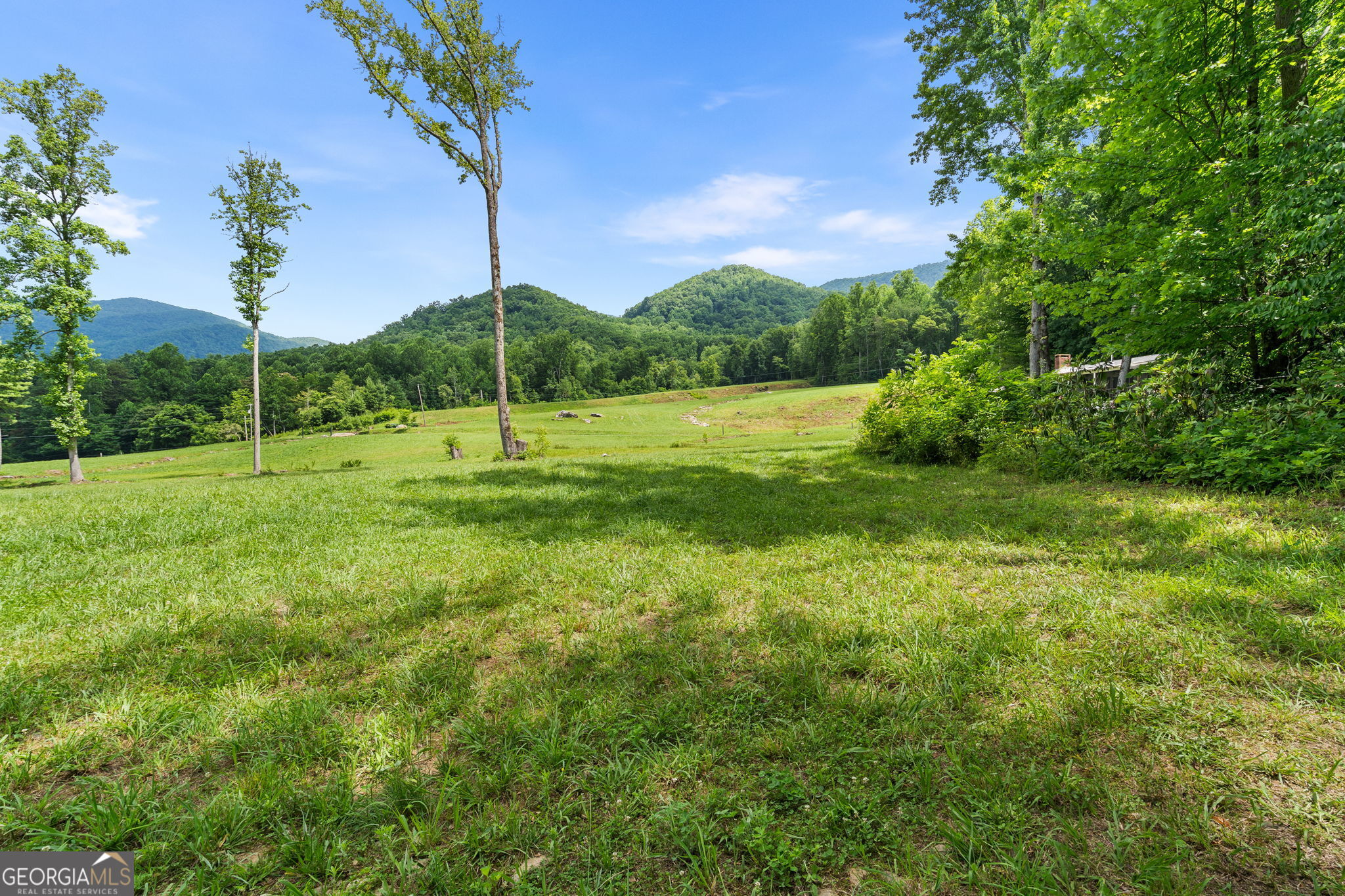 1449 Muskrat Creek Road Hayesville, NC 28904 - Photo 43 of 67