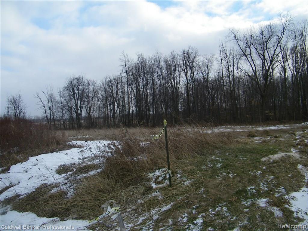 1 North Branch Rd Branch Fostoria, MI 48435 - Photo 4 of 5