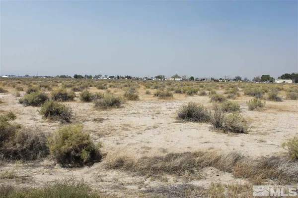 a view of a dry yard with trees