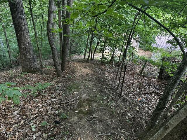 230 Ridge Road Weber City, VA 24290 - Photo 11 of 46 IMG_0593