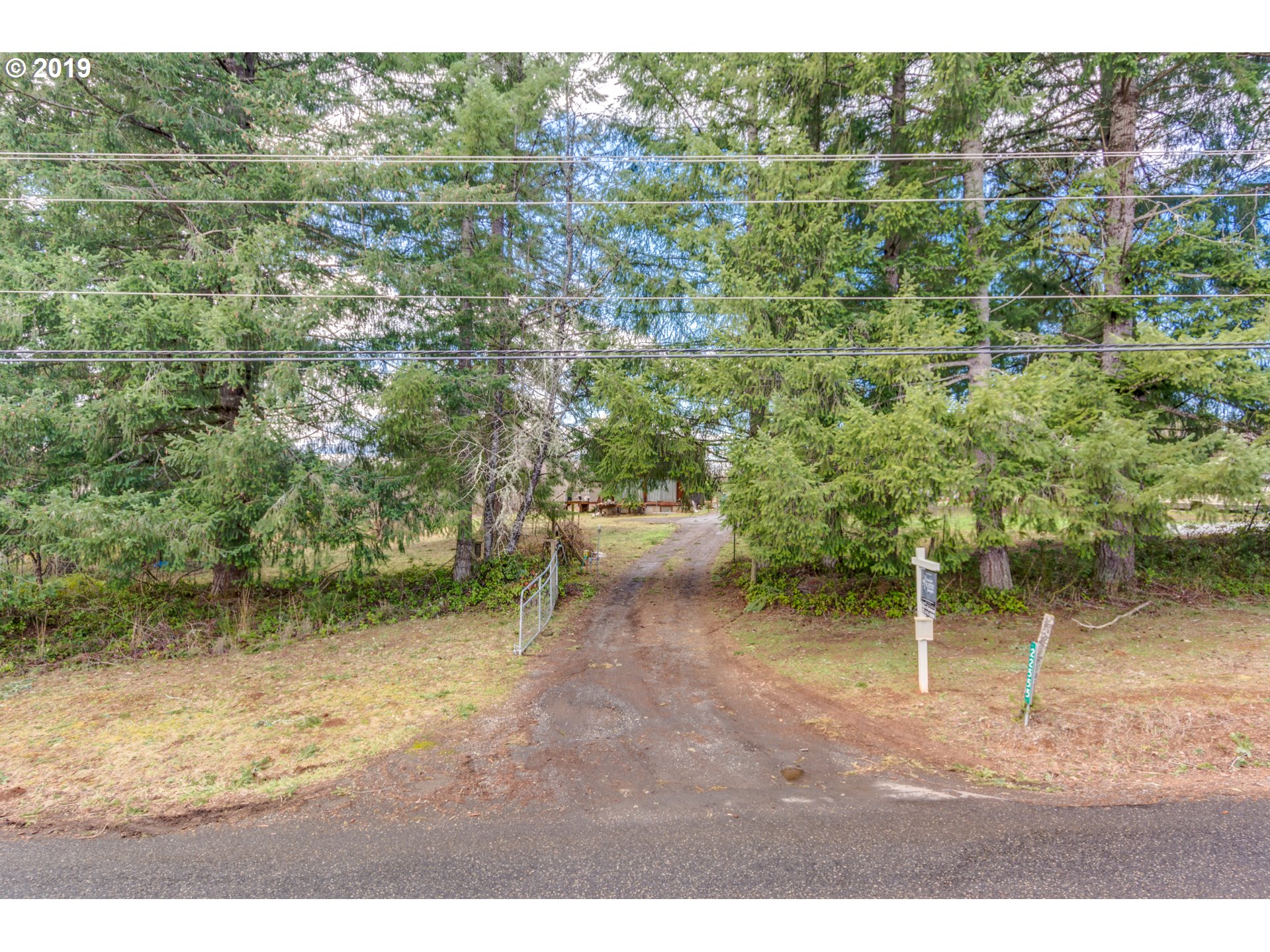 22555 Southeast Bornstedt Road Sandy, OR 97055 - Photo 5 of 32 a view of a forest with a bench and trees