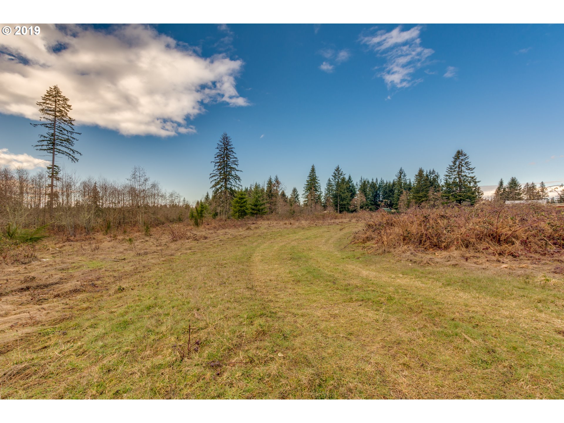 22555 Southeast Bornstedt Road Sandy, OR 97055 - Photo 8 of 32