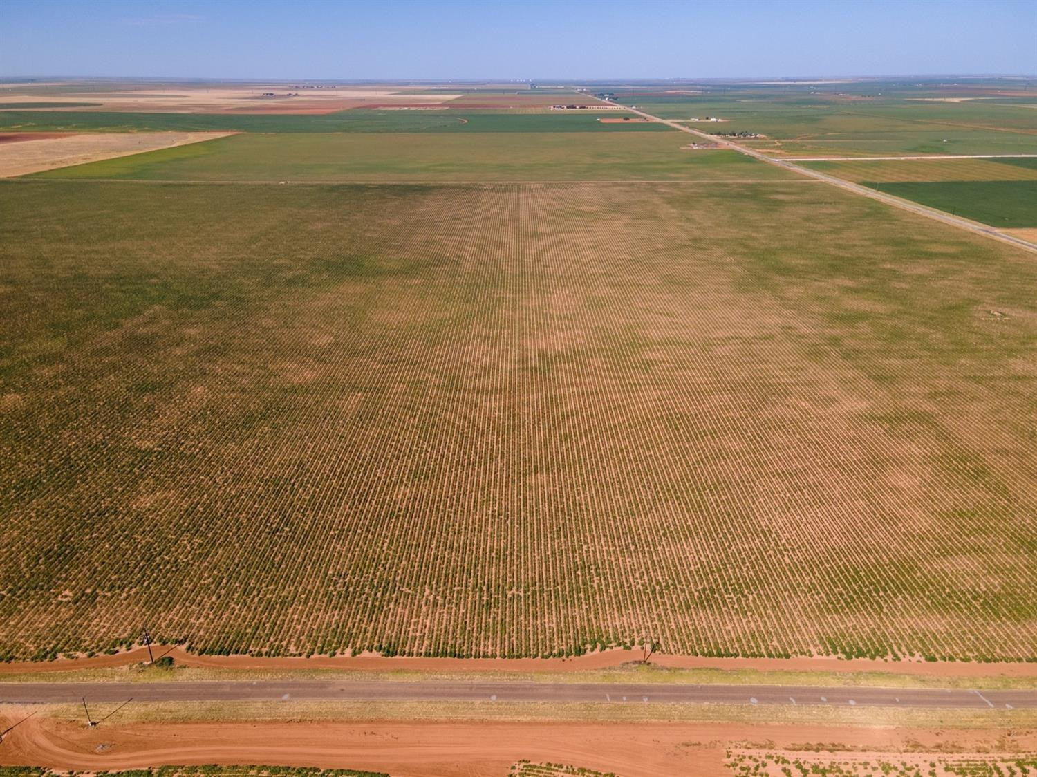 6130 Fm 41 Ropesville, TX 79358 - Photo 4 of 5 a view of an ocean and beach