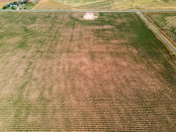 $2,500,000 | 6130 Fm 41, Ropesville, TX 79358