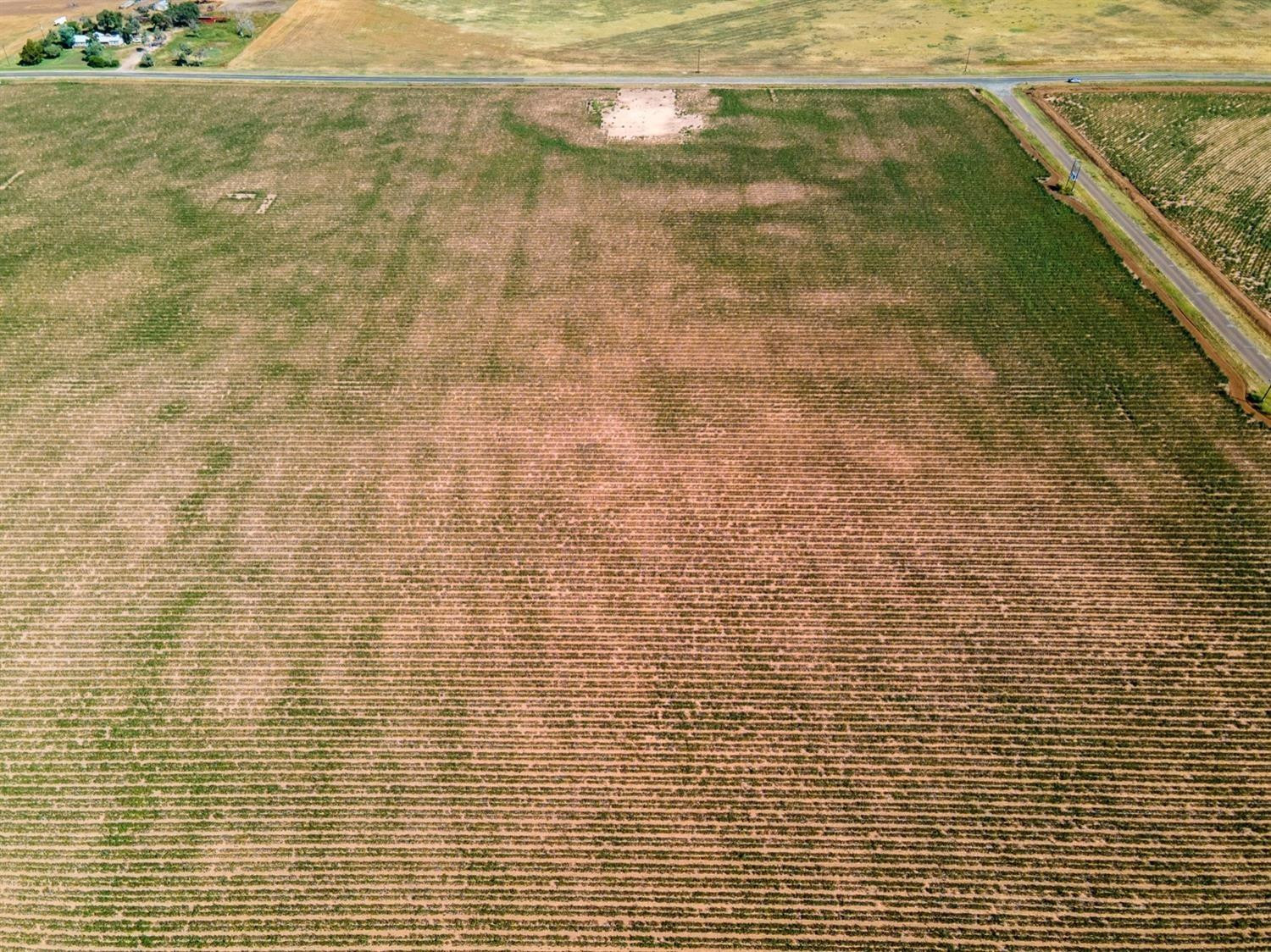 6130 Fm 41 Ropesville, TX 79358 - Photo 5 of 5