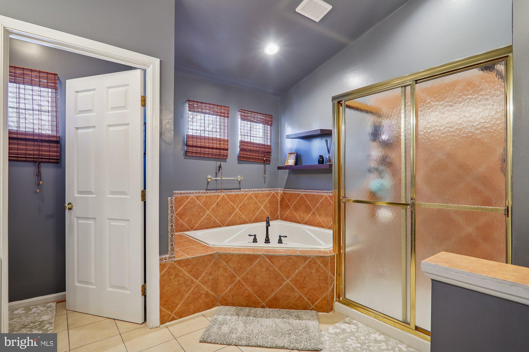 6908 Bitternut Court Fort Washington, MD 20744 - Photo 11 of 69 Primary Suite Soaking Tub n Shower