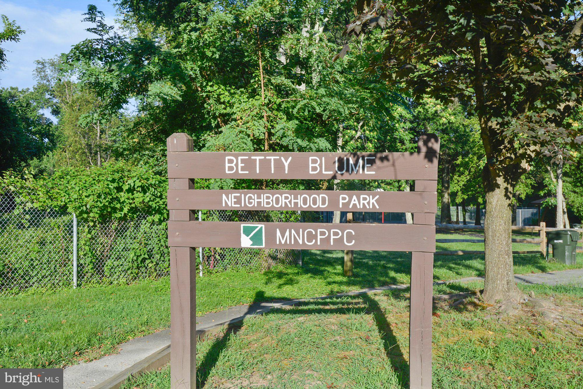 6908 Bitternut Court Fort Washington, MD 20744 - Photo 35 of 69 Betty Blume Park